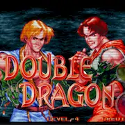 Скачать Double Fight Dragon 1995 [Взлом Бесконечные деньги/MOD Меню] на Андроид