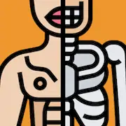 Скачать Anatomania - Quiz de Anatomia [Взлом Бесконечные деньги/МОД Меню] на Андроид