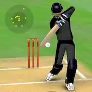 Скачать Smashing Cricket: cricket game [Взлом Бесконечные монеты/God Mode] на Андроид