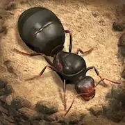 Скачать The Ants: Underground Kingdom [Взлом Бесконечные монеты/God Mode] на Андроид
