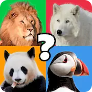 Скачать Animal Quiz Guess their Answer [Взлом Бесконечные монеты/Режим Бога] на Андроид