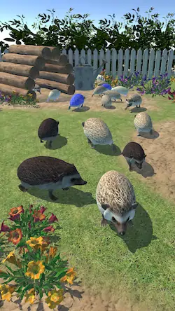Скачать Hedgehog Friends [Взлом Много денег/God Mode] на Андроид
