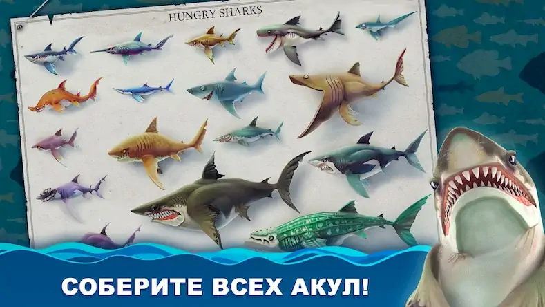Скачать Hungry Shark World [Взлом Много монет/Unlocked] на Андроид