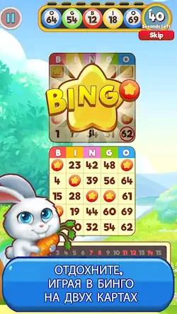 Скачать Bingo: Free the Pets [Взлом Много денег/Режим Бога] на Андроид