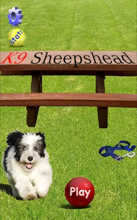 Скачать K9 Sheepshead (Schafkopf) [Взлом Много денег/God Mode] на Андроид