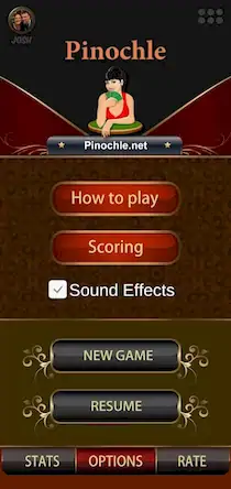Скачать Pinochle.Net [Взлом Много денег/Unlocked] на Андроид