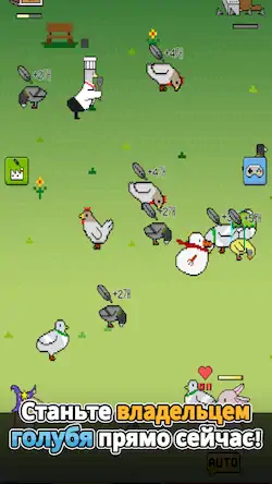 Скачать Выращивание голубей [Взлом Бесконечные монеты/Разблокированная версия] на Андроид