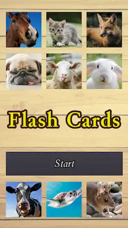 Скачать Flash Cards [Взлом Много денег/Unlocked] на Андроид