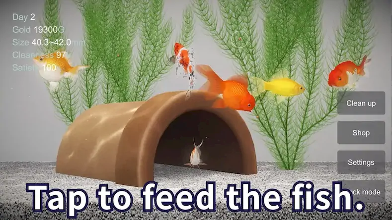 Скачать Goldfish 3D Relaxing Aquarium [Взлом Бесконечные монеты/МОД Меню] на Андроид