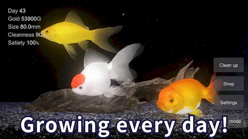 Скачать Goldfish 3D Relaxing Aquarium [Взлом Бесконечные монеты/МОД Меню] на Андроид