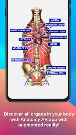 Скачать Anatomy AR 4D - Virtual TShirt [Взлом Бесконечные деньги/Режим Бога] на Андроид