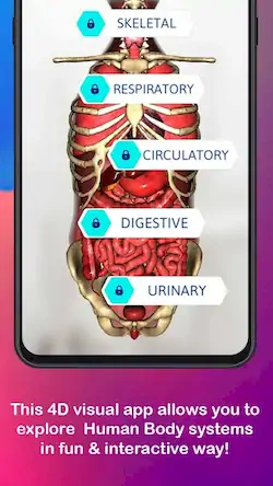 Скачать Anatomy AR 4D - Virtual TShirt [Взлом Бесконечные деньги/Режим Бога] на Андроид