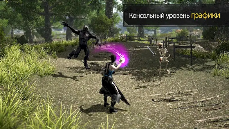 Скачать Evil Lands: Online Action RPG [Взлом Бесконечные деньги/Режим Бога] на Андроид