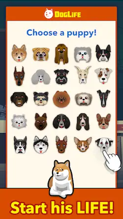 Скачать BitLife Dogs  [Взлом Много монет/Режим Бога] на Андроид