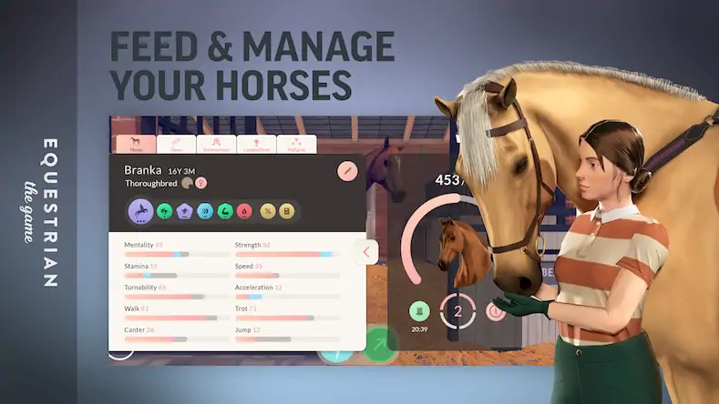 Скачать Equestrian the Game [Взлом Много денег/Unlocked] на Андроид