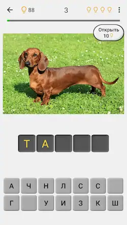 Скачать Собаки - Угадай все породы! [Взлом Бесконечные монеты/Unlocked] на Андроид